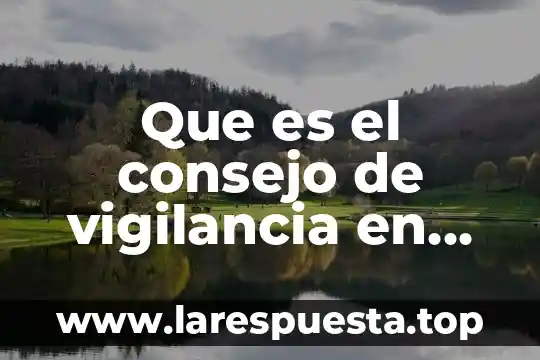 Que es el consejo de vigilancia en una sociedad