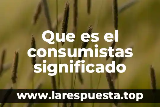 Que es el consumistas significado
