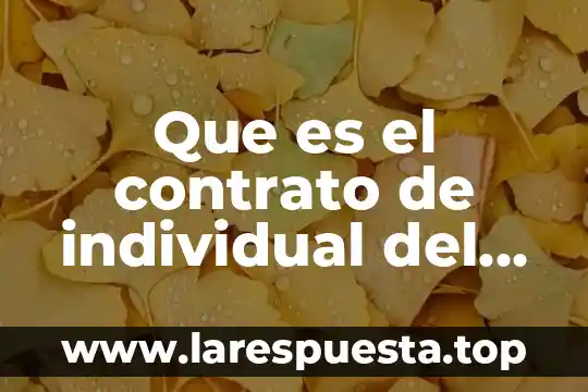 Que es el contrato de individual del trabajo