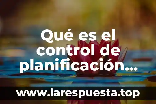 Que es neumatica en mecanica automotriz 8 Qué es el control de planificación en una empresa automotriz