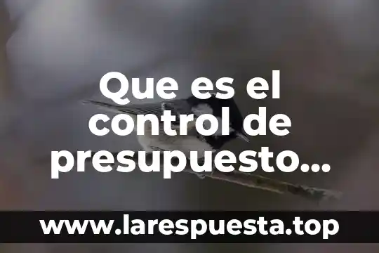 Que es auxiliar de control vehicular 5 Que es el control de presupuesto en contabilidad