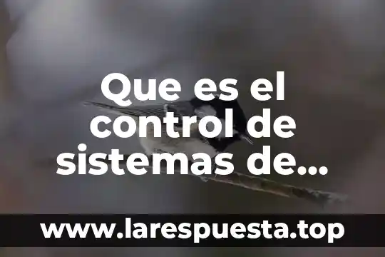 Que es el control de sistemas de calidad