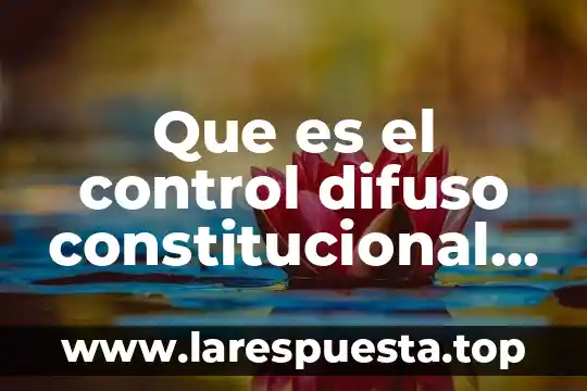 Que es el control difuso constitucional en mexico