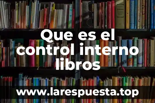 Que es rebozo en libros 4 Que es el control interno libros