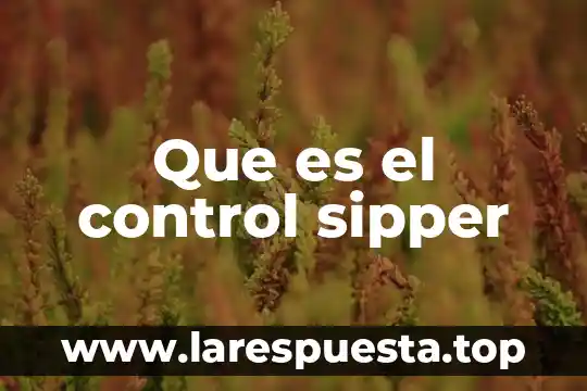 Que es un control compensatorio 5 Que es el control sipper