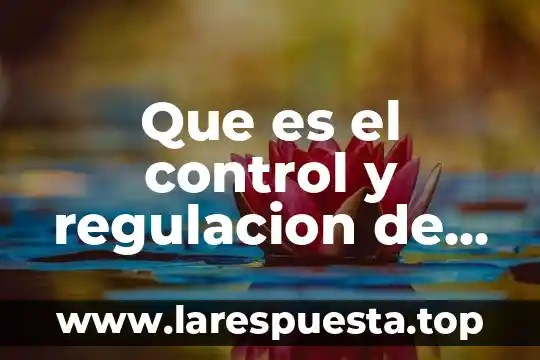 Que es iluminacion en literatura 6 Que es el control y regulacion de la iluminación domotica