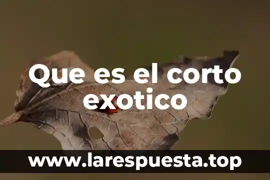 Que es mas corto que una licenciatura 5 Que es el corto exotico