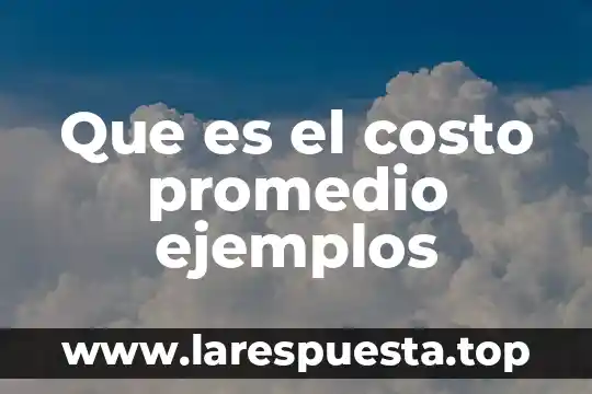 Que es la adjetivacion abundante ejemplos 4 Que es el costo promedio ejemplos