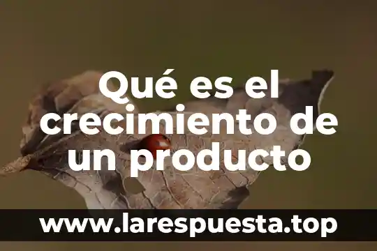 Perfil de diseño de producto que es 5 Qué es el crecimiento de un producto