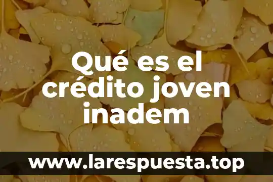 Que es un aval titulos de credito 8 Qué es el crédito joven inadem