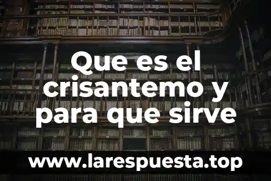 Que es el crisantemo y para que sirve