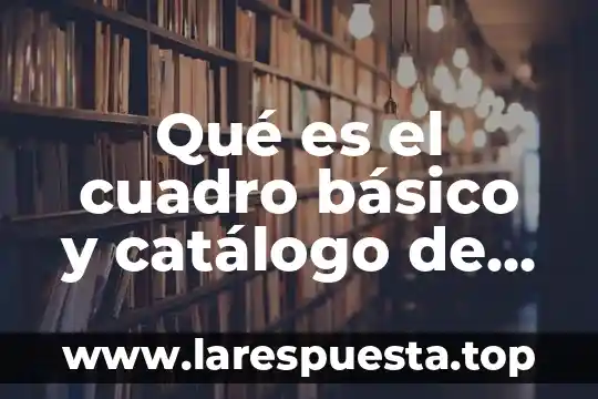 Que es un catalogo en comercios 5 Qué es el cuadro básico y catálogo de medicamentos