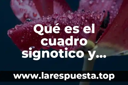 Qué es un cuadro de diálogo informática 3 Qué es el cuadro signotico y ejemplos