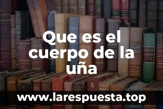 Que es el cuerpo de la uña