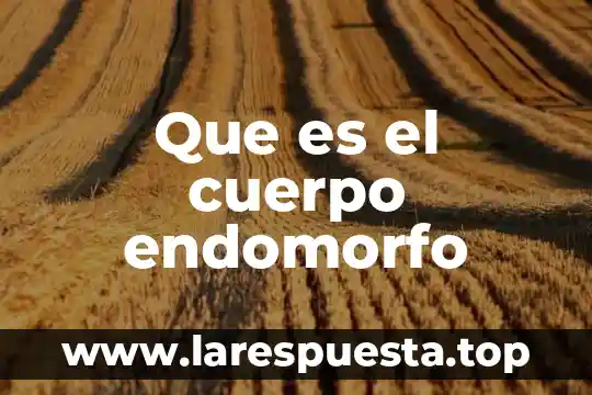 Que es el cuerpo endomorfo