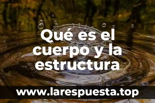 Qué es el cuerpo y la estructura