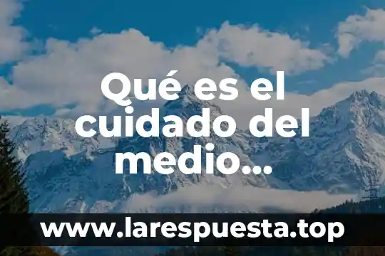 Qué es el medio ambiente biofísico 6 Qué es el cuidado del medio ambiente