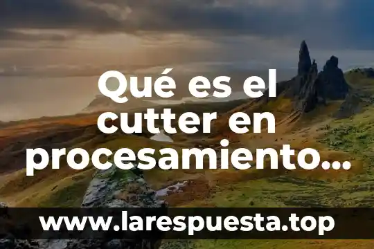Qué es un procesamiento de una empresa 3 Qué es el cutter en procesamiento de carnes