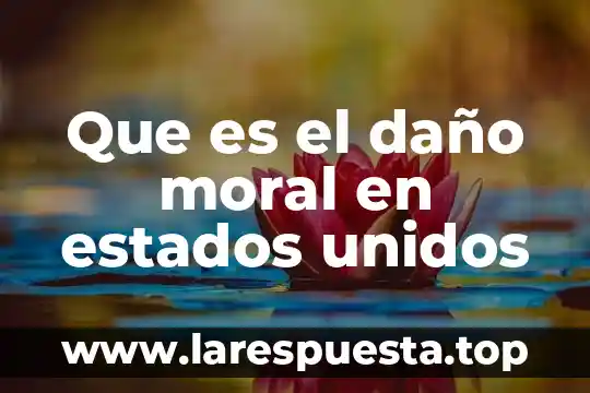 Que es la adolescencia en estados unidos 7 Que es el daño moral en estados unidos