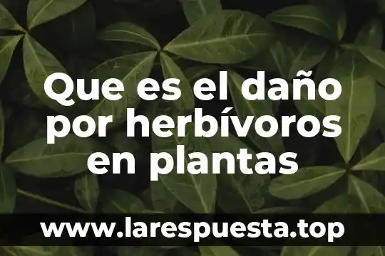 Por que es buena la reparacion del daño 4 Que es el daño por herbívoros en plantas