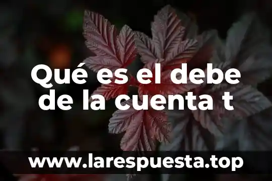 Que es lo que debe tener una base de minecraft 8 Qué es el debe de la cuenta t