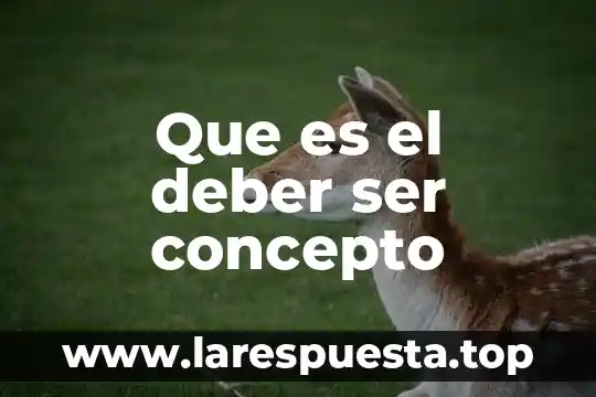 Que es el deber caracteristicas 7 Que es el deber ser concepto