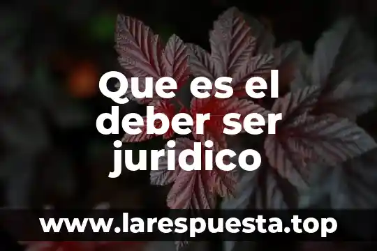 Que es el deber caracteristicas 6 Que es el deber ser juridico