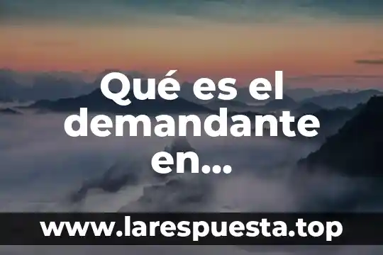 Que es metraje en arquitectura 4 Qué es el demandante en arquitectura