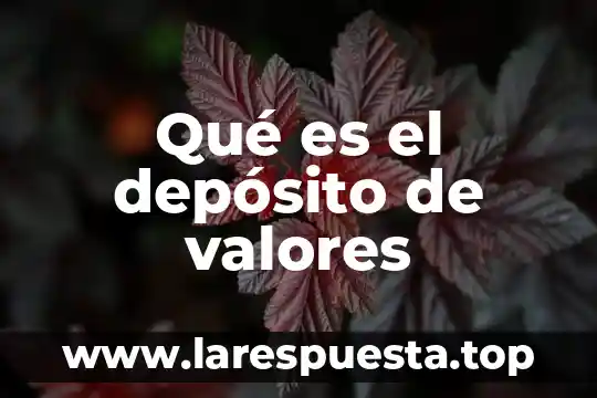 Qué es el depósito de valores