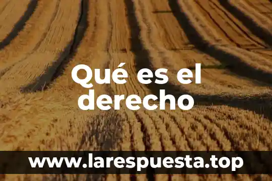En derecho que es sustanciación 6 Qué es el derecho