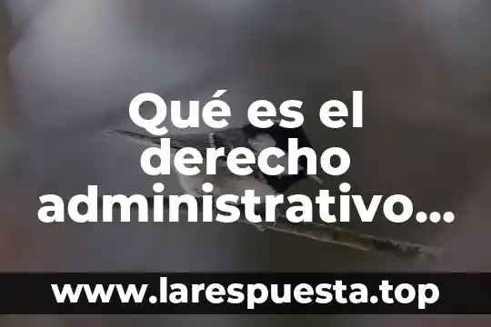 Qué es el derecho administrativo en palabras simples