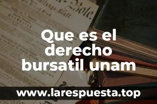 Que es analisis bursatil unam 6 Que es el derecho bursatil unam