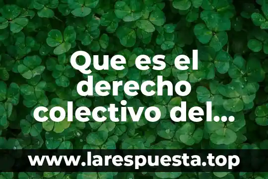 Que es el derecho colectivo del trabajo segun autores