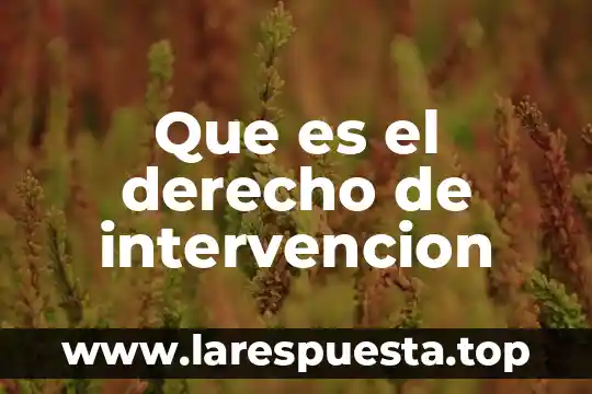 Que es el derecho de intervencion