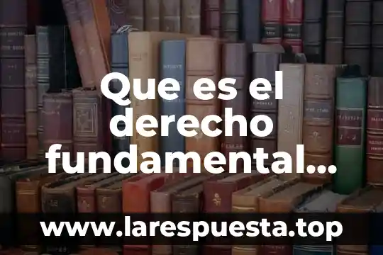 Que es derecho fundamental segun miguel carbonel 4 Que es el derecho fundamental de caseworker