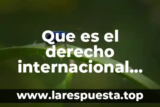 Que es un proceso privado 6 Que es el derecho internacional privado sustantivo