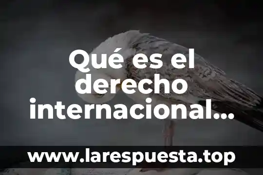 Que es un proceso privado 7 Qu茅 es el derecho internacional p煤blico y privado concepto