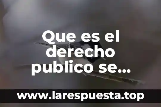Que es la monarquia y en que paises se aplica 6 Que es el derecho publico se aplica