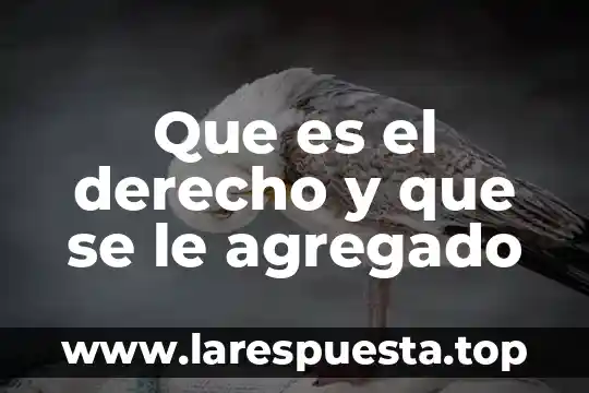 Que es el nombre segun el derecho romano 3 Que es el derecho y que se le agregado