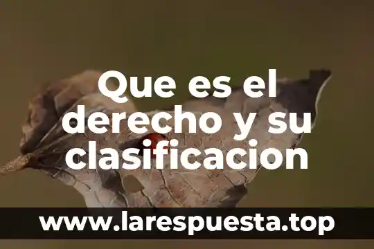 Que es el derecho y su clasificacion