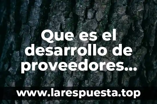Que es el desarrollo de proveedores concepto