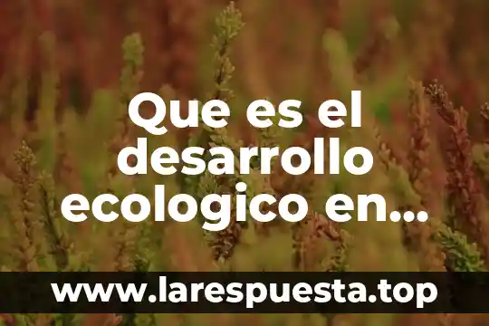 Que es el plan de desarrollo en méxico 3 Que es el desarrollo ecologico en una comunidad