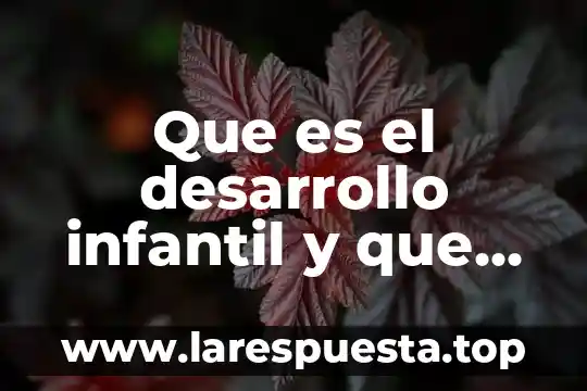Que es una estancia infantil definicion 5 Que es el desarrollo infantil y que estudia prezi
