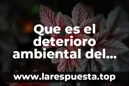 Lan ambiental que es 3 Que es el deterioro ambiental del suelo