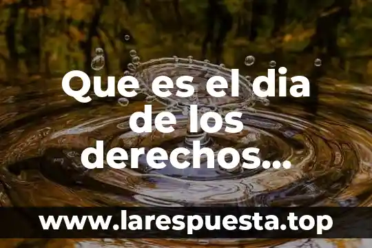 Que es el dia de los derechos humanos