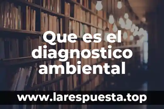Que es la evaluacion del proceso de diagnostico 3 Que es el diagnostico ambiental