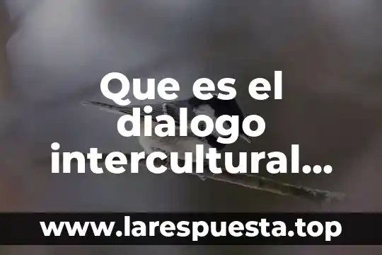 Que es el dialogo intercultural para niños