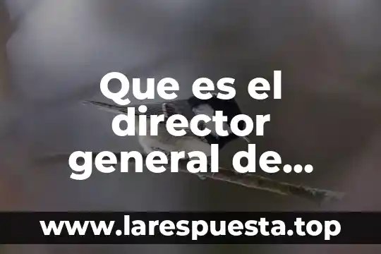 Que es el director general de plitecnico de frontera