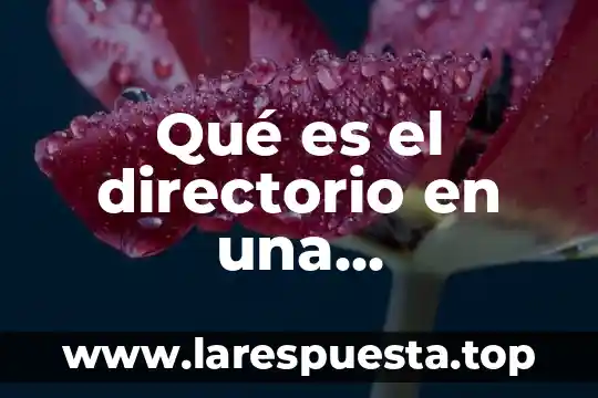 Que es un directorio para niños 8 Qué es el directorio en una computadora