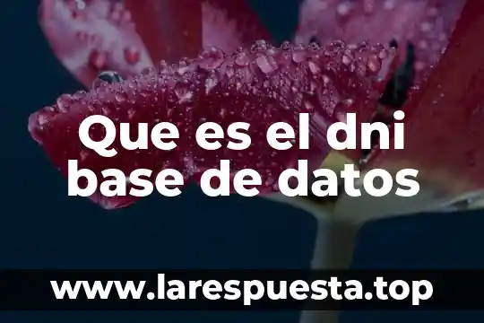 Que es el dni base de datos